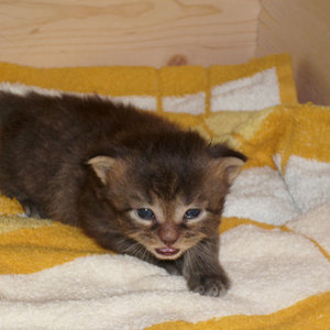 Maxi
...erste Gehversuche