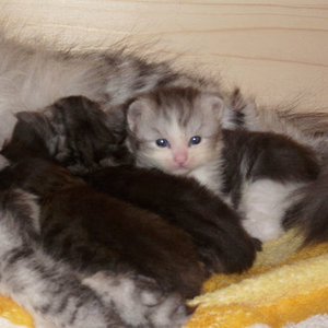 Toby
satt und müde