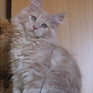 Unsere Kleine mit ca. 13 Wochen