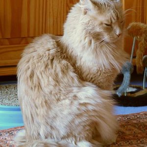 P1000994
Eure Majestät Buddy