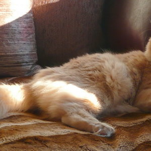 P1020678
Bin ich nicht wunderschön???