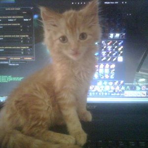 Da war sie ca. 8 Wochen alt..