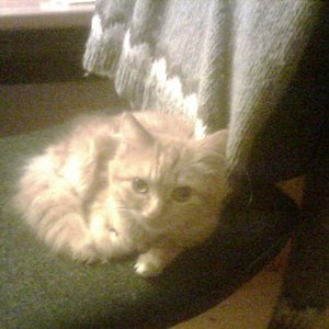 Mittlerweile ist sie schon etwas größer...unser Riesenbaby ;)