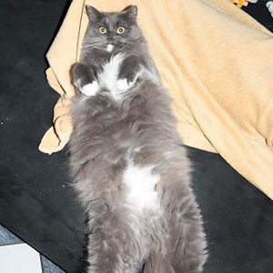 Sunny total entspannt