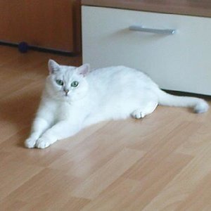 Meily in einer schicken Pose *g*