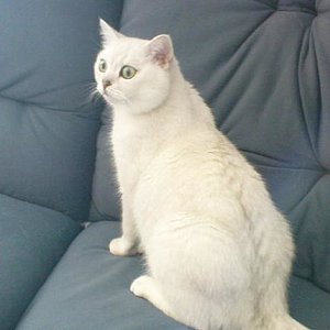 ...was gibt´s denn da?