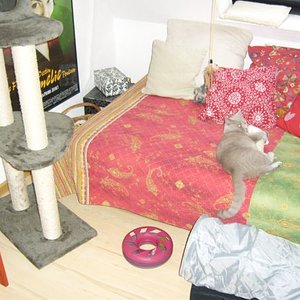 Emiras Spielparadies