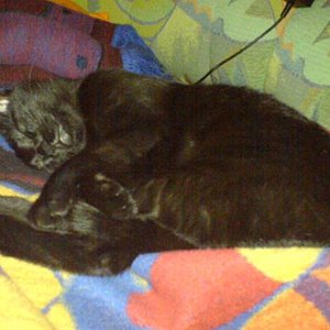 Darf ich mich vorstellen, Paula mein Name