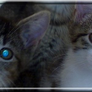 links: Zoe
rechts: Sally