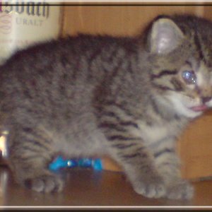 Lilly mit ca. 4 Wochen