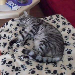 k Cam Bilder 29.6.09 017