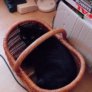 k Cam Bilder 29.6.09 020