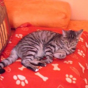 k Cam Bilder 29.6.09 084