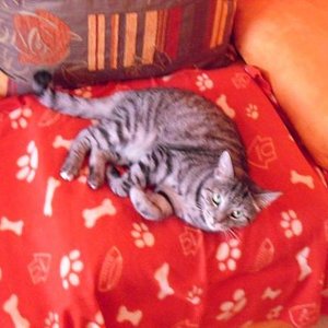 k Cam Bilder 29.6.09 085