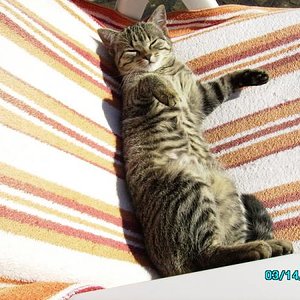 Mona beim Sonnenbaden