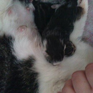 da sind sie gerade mal ein Tag alt