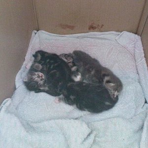 da sieht man mal alle auf einen Haufen in der Wurfkiste