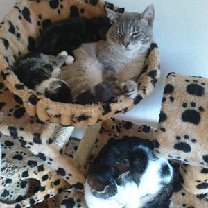 das waren schöne ruhige zeiten. so lieb können die auch zusammen schmusen