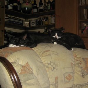 Träumt was schönes