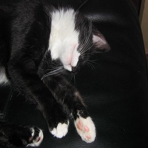 schlaf schön meine große *Kuß*