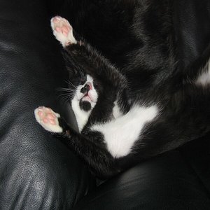 man das sie noch keine Nackenschmerzen hat *grins*