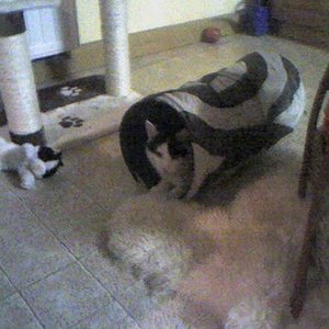 Django in der Höhle