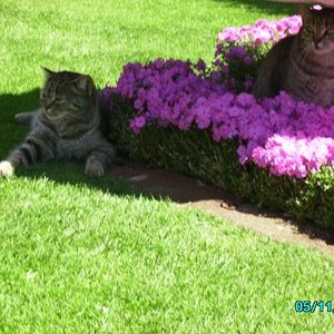 Mona und Lisa 2.08 023