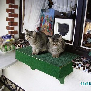 Mona und Lisa 11.07 006