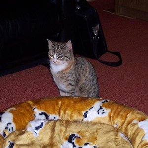 ist sie nicht hübsch?