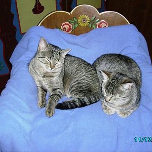 Mona und Lisa 11.07 004