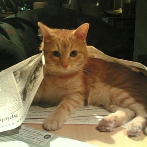 Filou Nov06 bevor alles anfing...