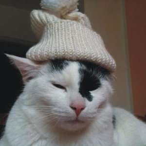 Jo Leid, koid is ma!