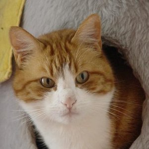 140604 (22) [600x450]