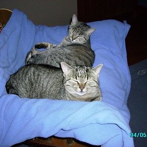 Mona und Lisa 2.08 009