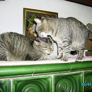 Mona und Lisa 2.08 017