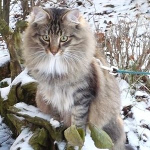 Pori auf Erkundungstour