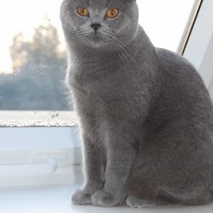 Grosses Mädchen!!!!!!!!