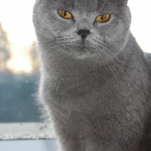 mmmhhh geht es mir gut;-))))