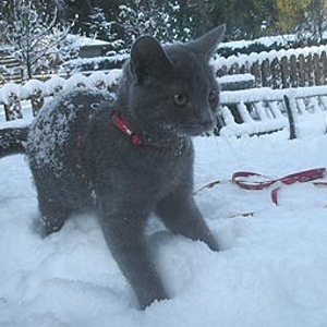 Kalt, dieses weißes Zeug