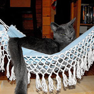 Weihnachtsgeschenk Hängematte