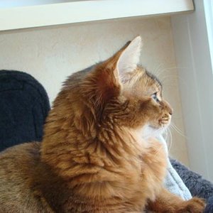 DSC07485 [800x600]
Xemba im Profil