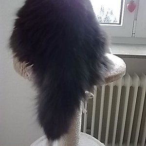 Plüschiges Hinterteil :D