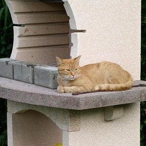 Mein Lieblingsplatz der Gartengrill, aber keine Bange ich werde garantiert nicht gegrillt :-) ich kann nur von hier aus alles übersehen und bin immer bestens informiert.