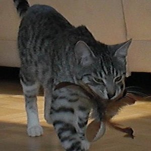 meins, meins!!!!!!!!!