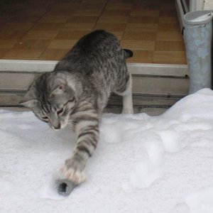 Oh ist mir kalt, bloss nicht in den Schnee kommen