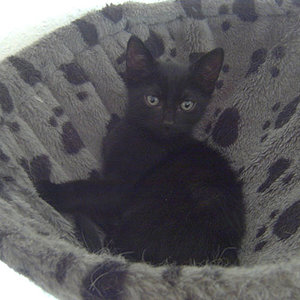 Mein kleiner Teufel :) Eine Schnute zum lieb haben