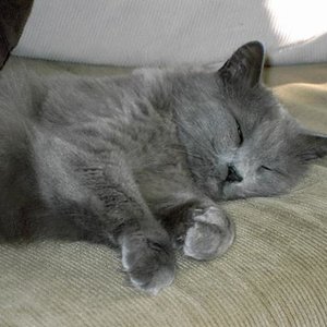 Ob sie mich wohl krault! :-)