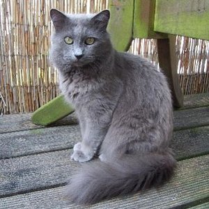 Ich kann auch posen, so ist das ja nicht!