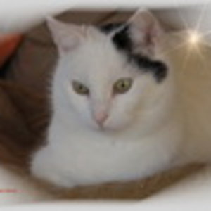 Momo Sternchen Signatur