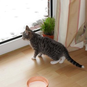 Unser Neuzuwachs - die kleine Lilly(fee)